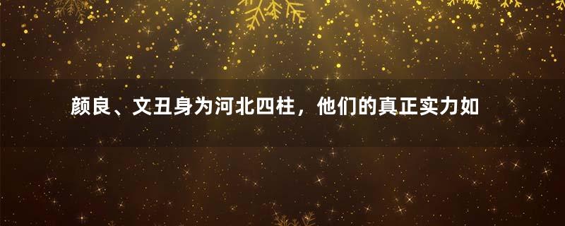 颜良、文丑身为河北四柱，他们的真正实力如何？