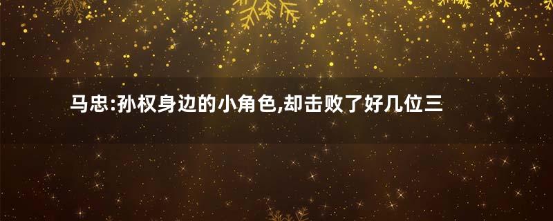 马忠:孙权身边的小角色,却击败了好几位三国猛将