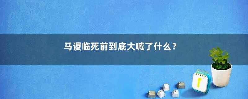 马谡临死前到底大喊了什么？