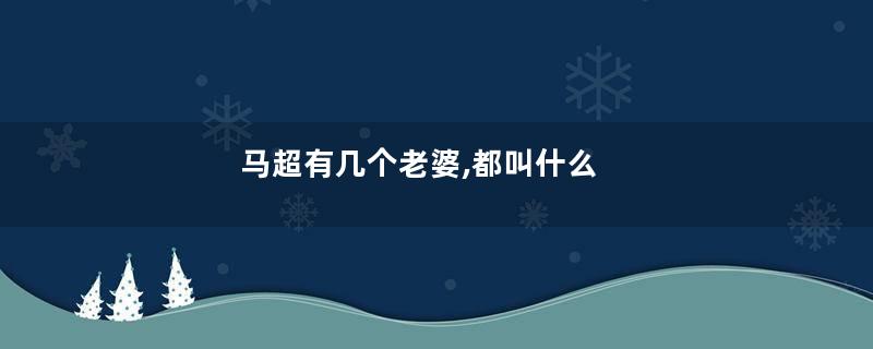 马超有几个老婆,都叫什么