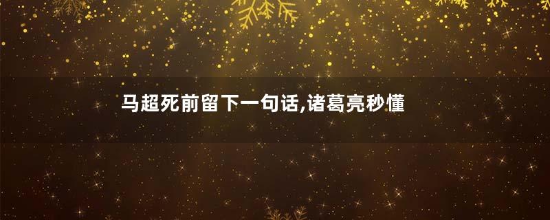 马超死前留下一句话,诸葛亮秒懂