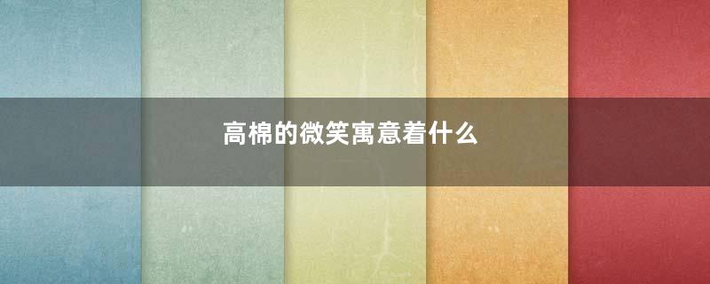 高棉的微笑寓意着什么