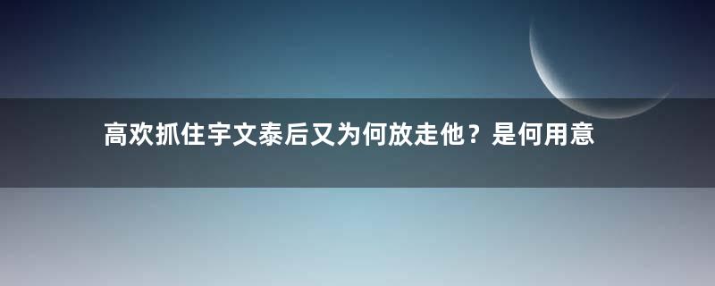 高欢抓住宇文泰后又为何放走他？是何用意