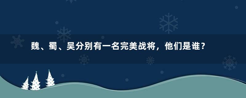 魏、蜀、吴分别有一名完美战将，他们是谁？