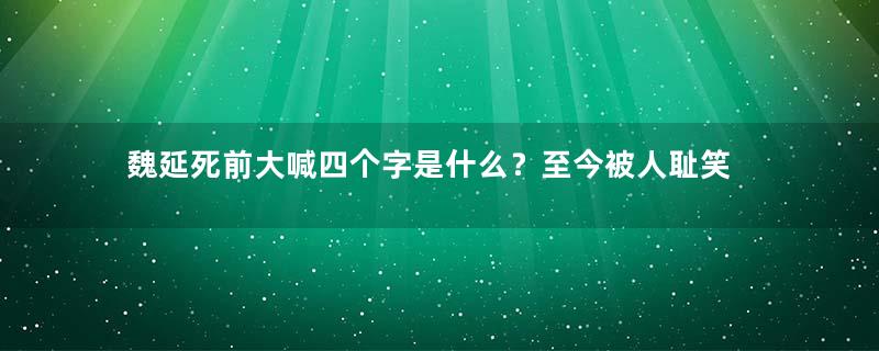 魏延死前大喊四个字是什么？至今被人耻笑