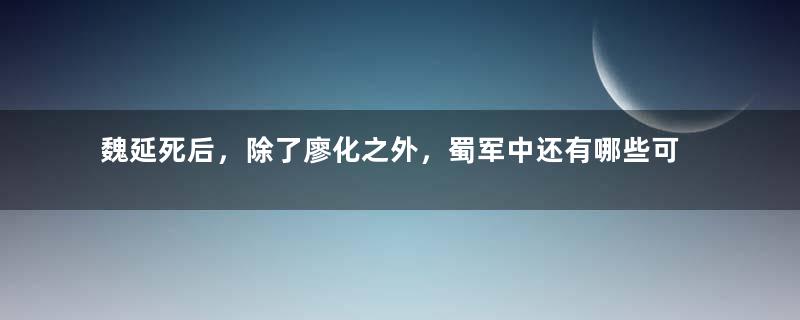魏延死后，除了廖化之外，蜀军中还有哪些可堪一战的大将呢？