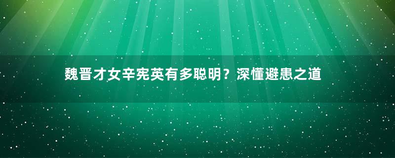 魏晋才女辛宪英有多聪明？深懂避患之道