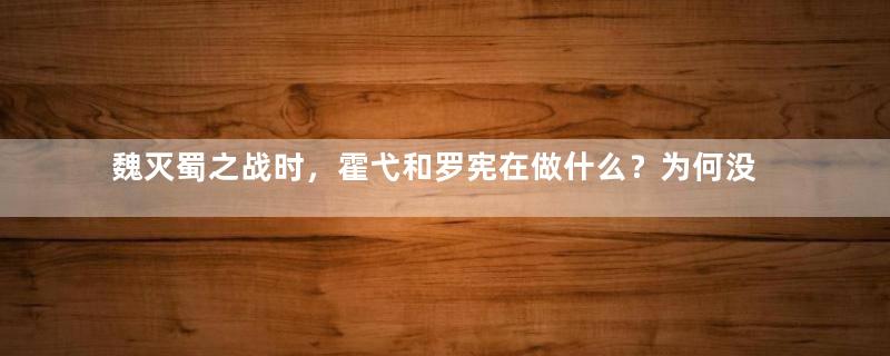 魏灭蜀之战时，霍弋和罗宪在做什么？为何没去支援？