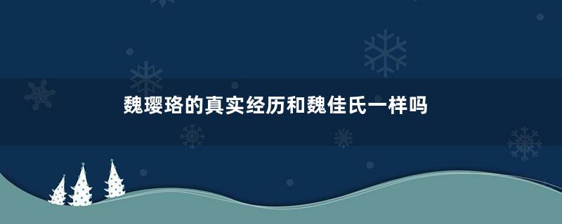 魏璎珞的真实经历和魏佳氏一样吗