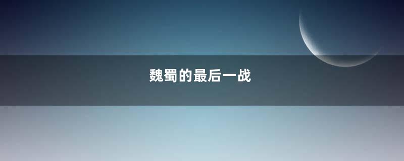 魏蜀的最后一战