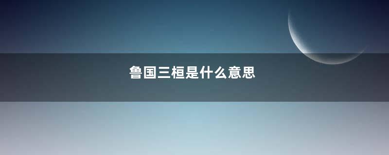 鲁国三桓是什么意思