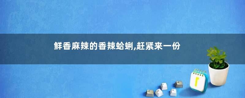 鲜香麻辣的香辣蛤蜊,赶紧来一份