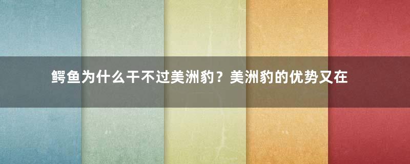 鳄鱼为什么干不过美洲豹？美洲豹的优势又在哪里？