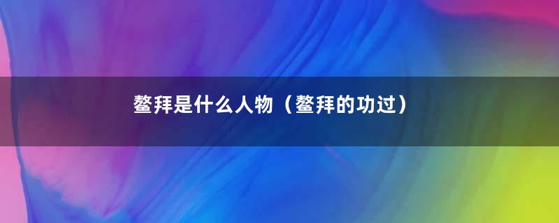 鳌拜是什么人物（鳌拜的功过）