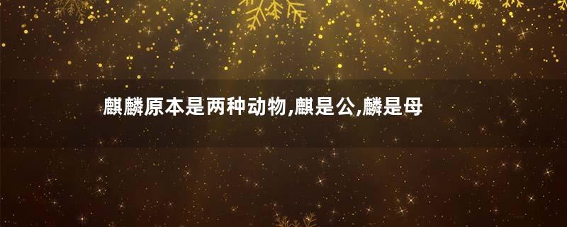 麒麟原本是两种动物,麒是公,麟是母